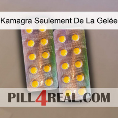 Kamagra Seulement De La Gelée new10
